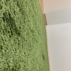 定価1.5万ニトリ製グリーンラグ•カーペット×高遮光グリーンカーテン