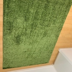 定価1.5万ニトリ製グリーンラグ•カーペット×高遮光グリーンカーテンの画像
