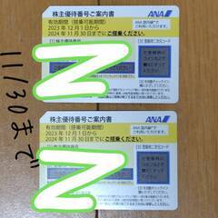 ANAの株主優待券2枚セット　出張やご旅行に！