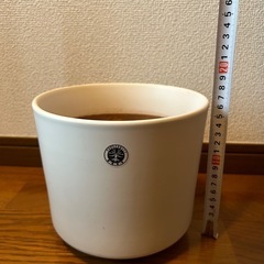 植木鉢 3個
