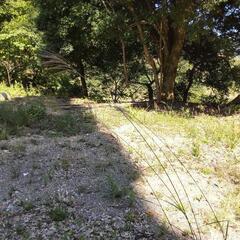 京滋『芋煮の会』発足しますよ〜