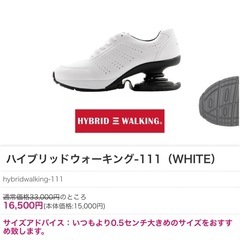 【価格崩壊！？】スプリングシューズ　ウォーキング用シューズの画像