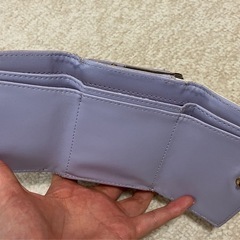 【期間限定】ディズニー　塔の上のラプンツェル　ミニ財布　ウォレットの画像