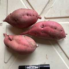 20kg 2Lサイズ　富山県南砺市産　赤土栽培無農薬べにはるか