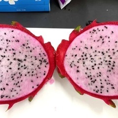 ピンク ドラゴンフルーツの画像