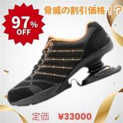 《予定者様確定》【価格崩壊！】スプリングシューズ　ウォーキング専...