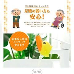 ウォーターガイドあひるの画像