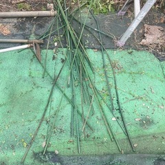 パイプ椅子赤黒4点の画像