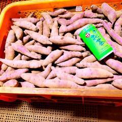 土付き熟成紅はるか（新春特売中）1ｋｇ60円、20kg1200円