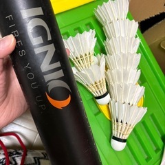 イグニオ　バドミントン羽