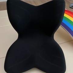 スタイル プレミアム/Style PREMIUM MTG エムティージー 姿勢矯正 骨盤