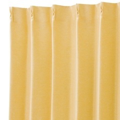 カーテン（100×100×2）の画像