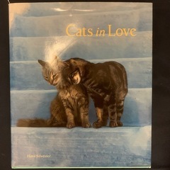 Cats in Love(猫の写真集)
