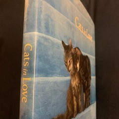 Cats in Love(猫の写真集)の画像