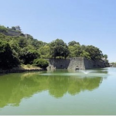 ウォーキング仲間募集 - 和歌山市