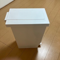 ペダル付きペール(ゴミ箱)の画像