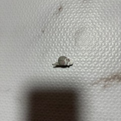 バスボムのクロミ