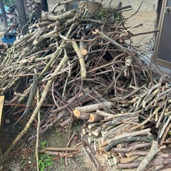 焚き火　薪の画像