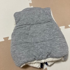 チャンピオン★ベストダウンの画像