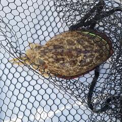 主に平日！プレジャーボートなどで海釣り🎣仲間募集！ - メンバー募集