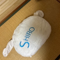 シロのBIGクッションの画像