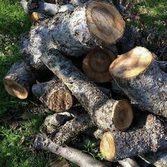 【薪】りんご、柳、さわら、サイズ混合の画像