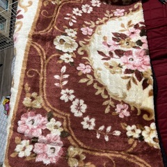 ホットカーペットの画像