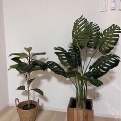 【フェイクグリーン】