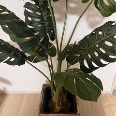 【フェイクグリーン】の画像