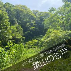 大きな緑地の奥まった谷戸にある散骨スポット【葉山の谷戸】