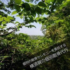 鷹取山の磨崖仏へとつながる散骨スポット【横須賀の林】 - 冠婚葬祭