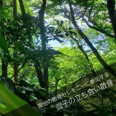 富士山と江ノ島を見渡す風光明媚なスポット【逗子の森】