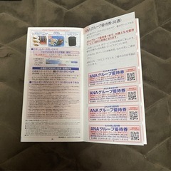 ANA株主優待　搭乗券　飛行機の画像