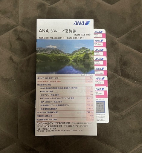 ANA株主優待　搭乗券　飛行機