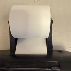 CASIO カシオ プリンター電卓 デスクタイプ 12桁 HR-170RCの画像