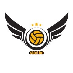 男女混合バレー【シェルビー】