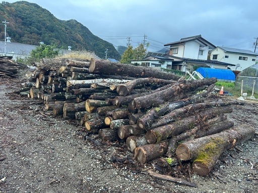 薪の原木！ ナラ、クヌギ、その他広葉樹n 【公式通販】