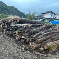 薪の原木！　ナラ、クヌギ、その他広葉樹
の画像