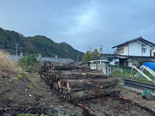 薪の原木！ ナラ、クヌギ、その他広葉樹n 【公式通販】