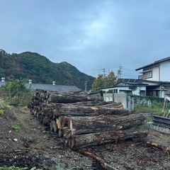 薪の原木！　ナラ、クヌギ、その他広葉樹
の画像