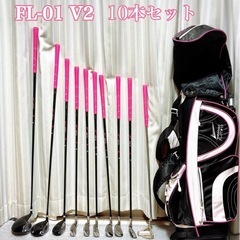 ワールドイーグル FL-01•V2 10本セット レディースゴル...
