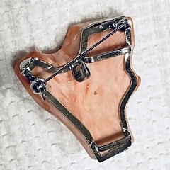 珊瑚　帯留  ペンダントトップ  ブローチの画像