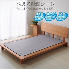 【美品】 洗える 除湿シート セミダブル の画像
