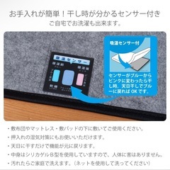 【美品】 洗える 除湿シート セミダブル の画像