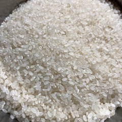 R5年度産お米