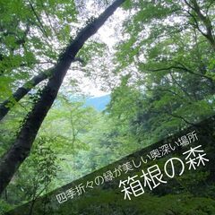 箱根なら旅行気分でお参りできる散骨スポット【箱根の森】