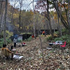 ＜募集＞焚火会、キャンプ地、多目的広場、ほぼ未開の地を開墾しませんか