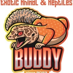 霧島市初爬虫類専門店BUDDY