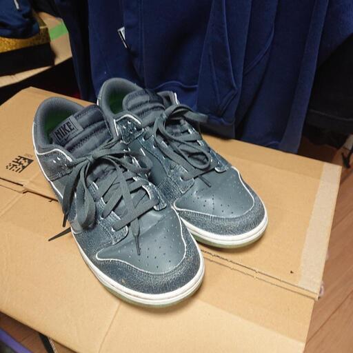 Nike スニーカー 28cm