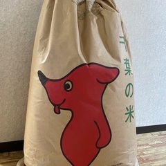 ▼令和6年度 精米 おそらく約14kg▼